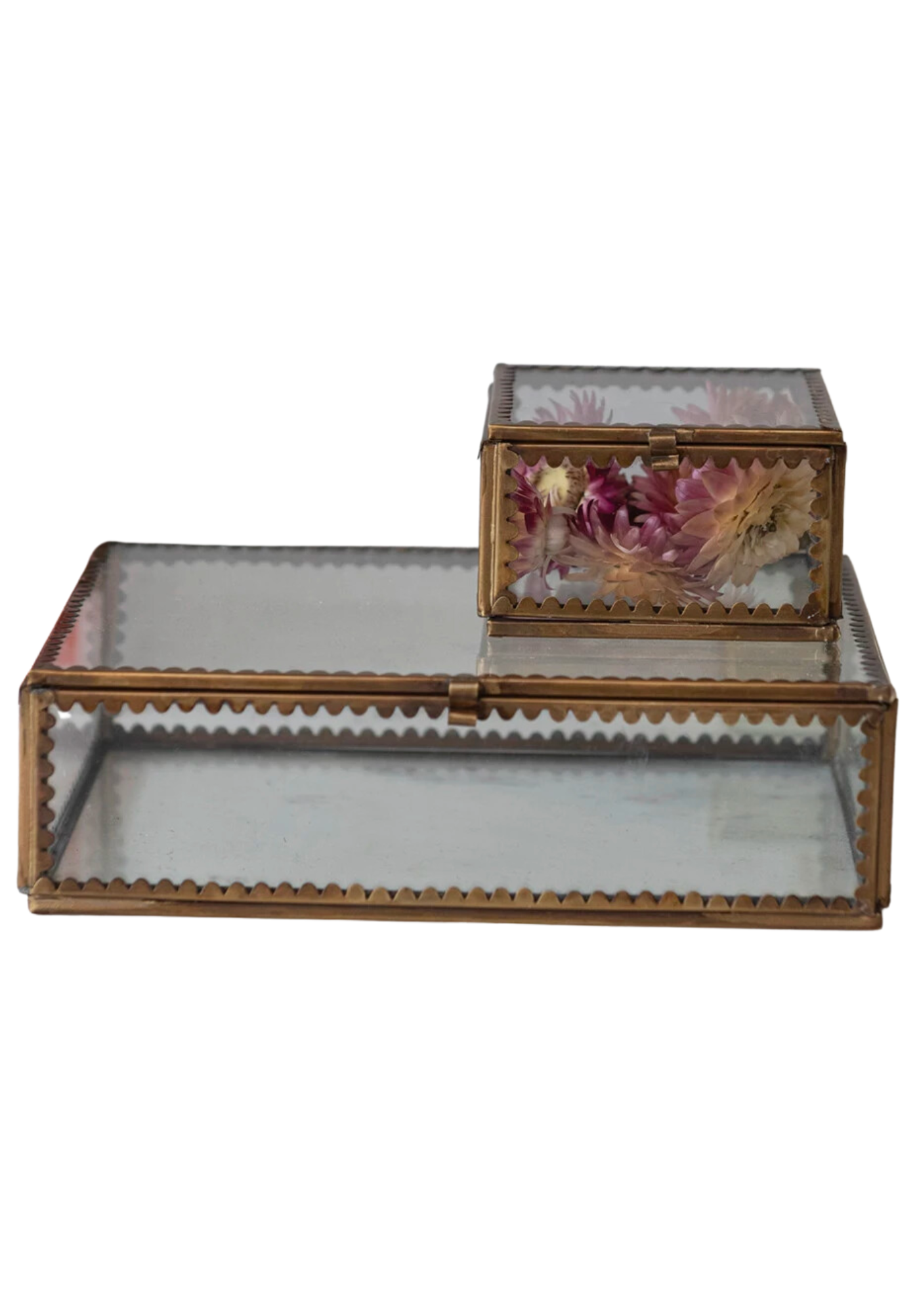 Scalloped Edge Display Box