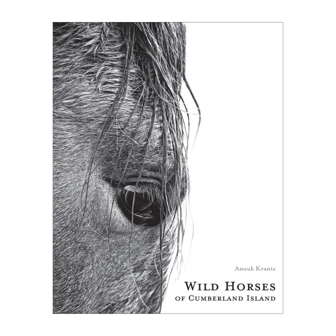 Wild Horses of Cumberland Island