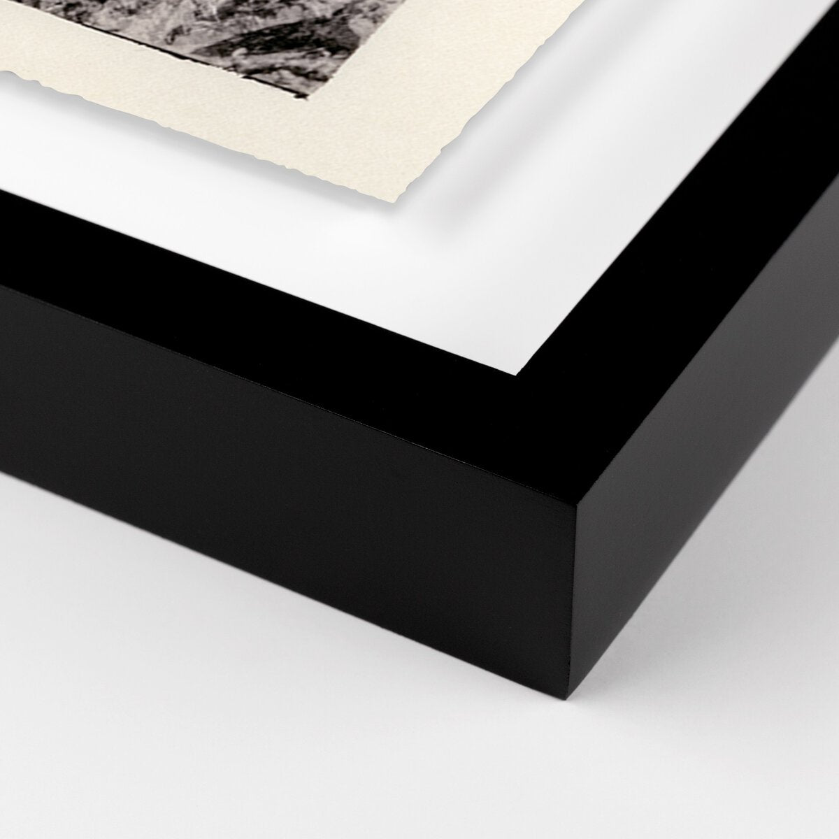 Juniper Gampi by Platinum Revival