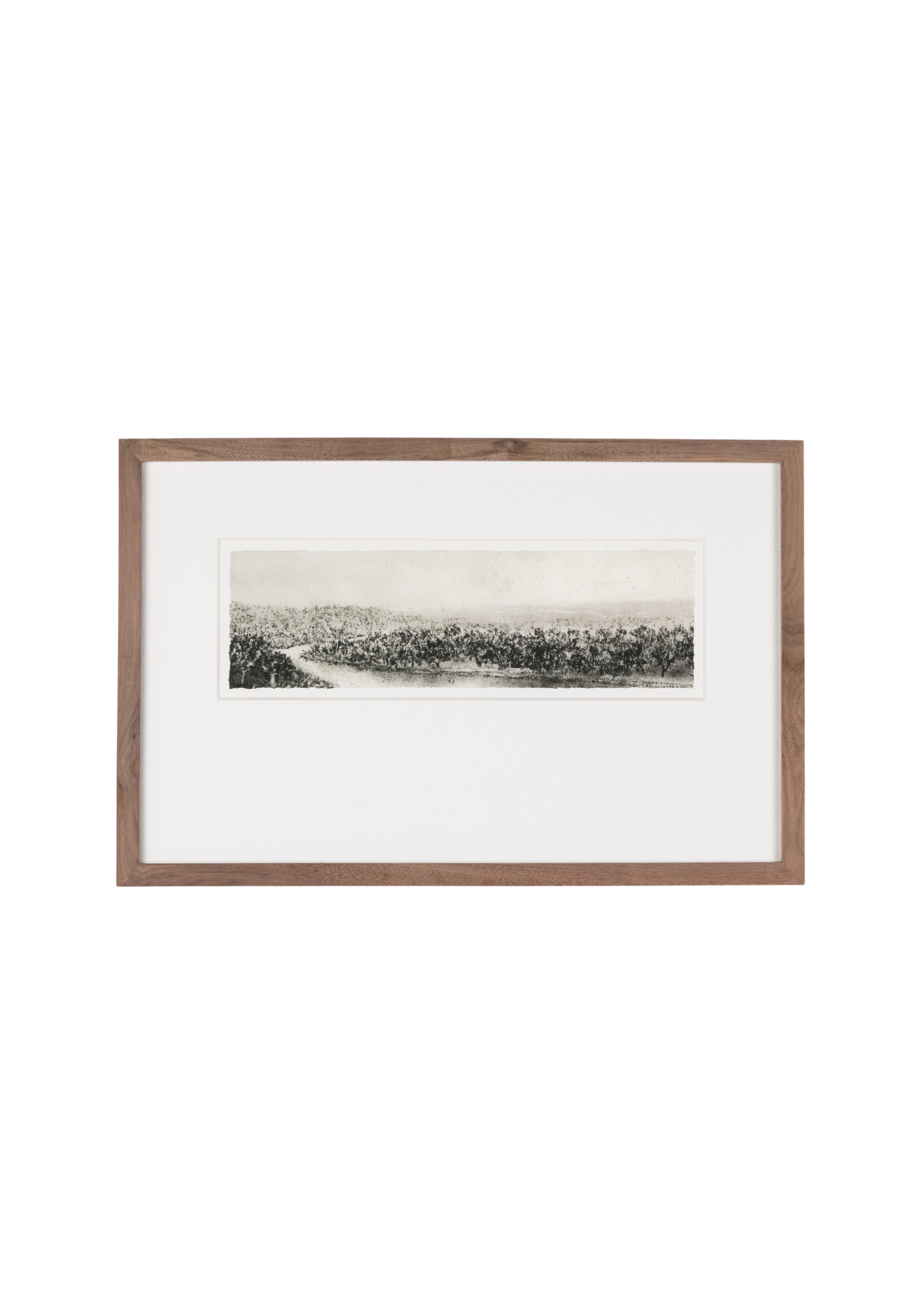 Hill Country Study II