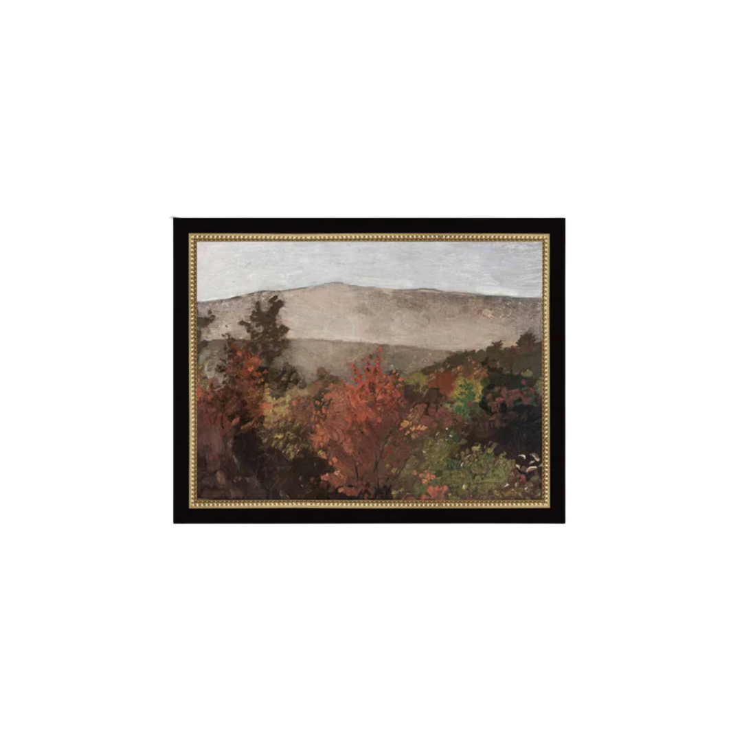 Autumn Tree Tops