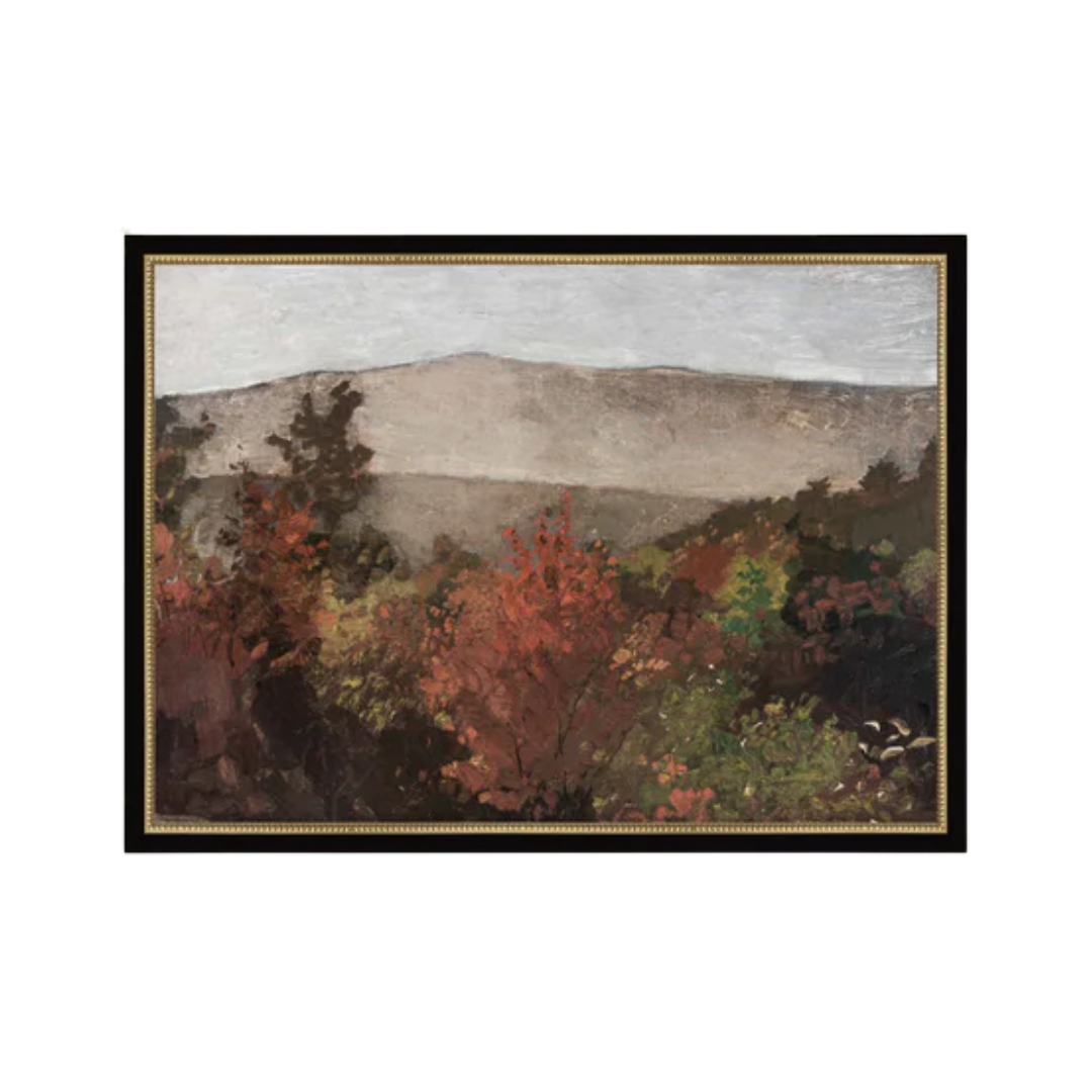 Autumn Tree Tops