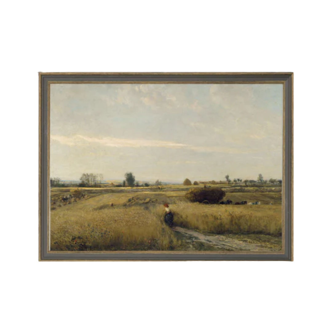 Harvest Landscape