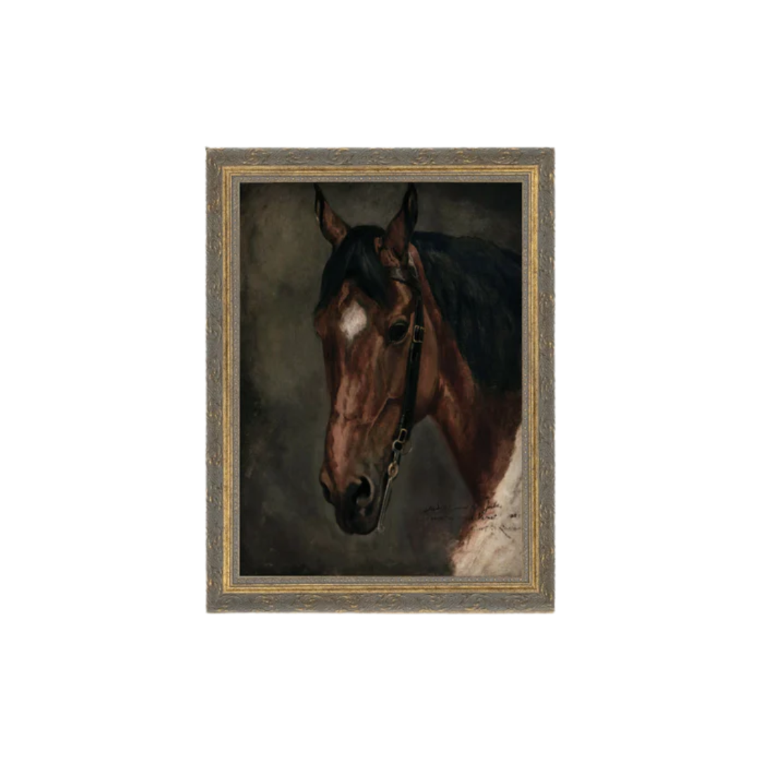 Horse Portrait
