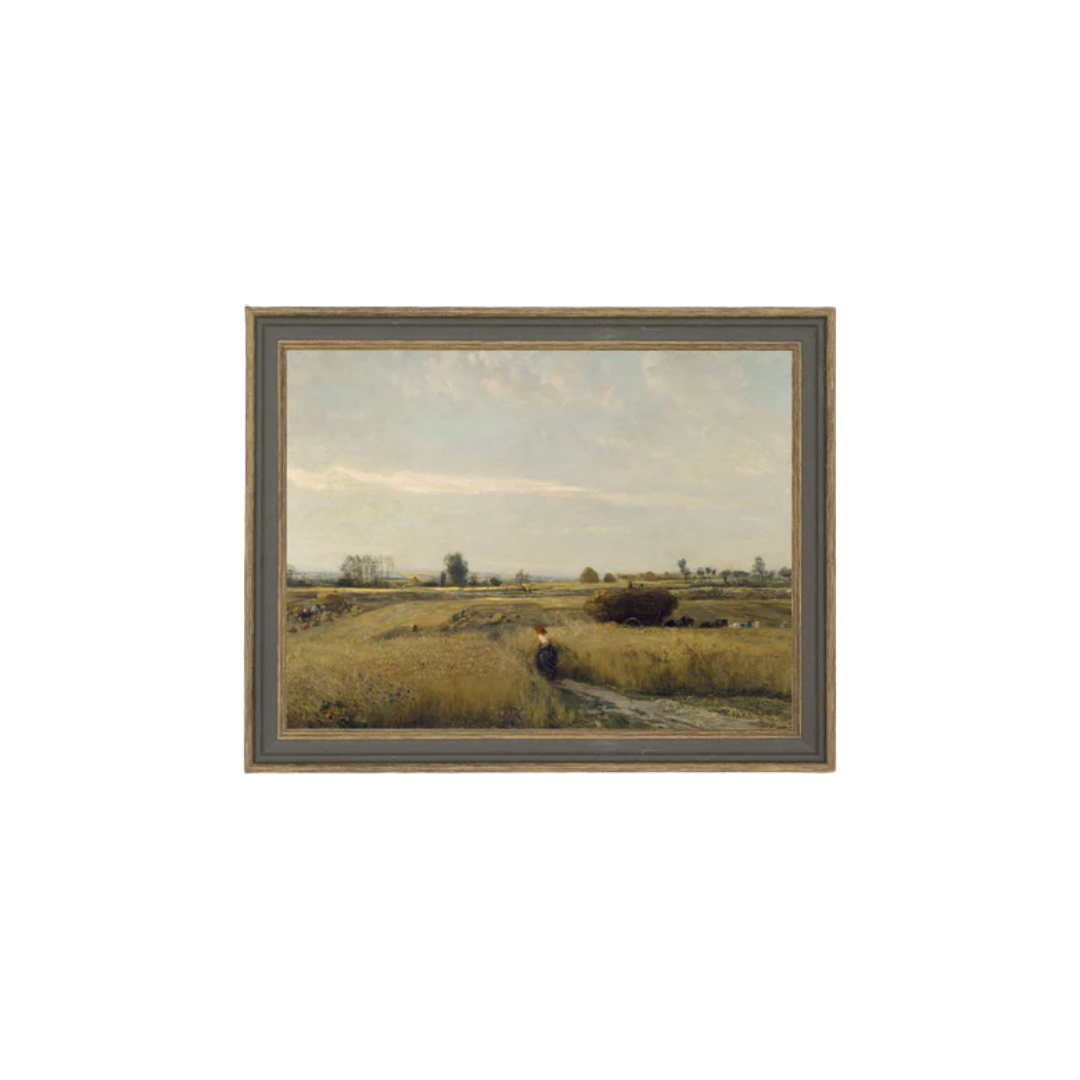 Harvest Landscape
