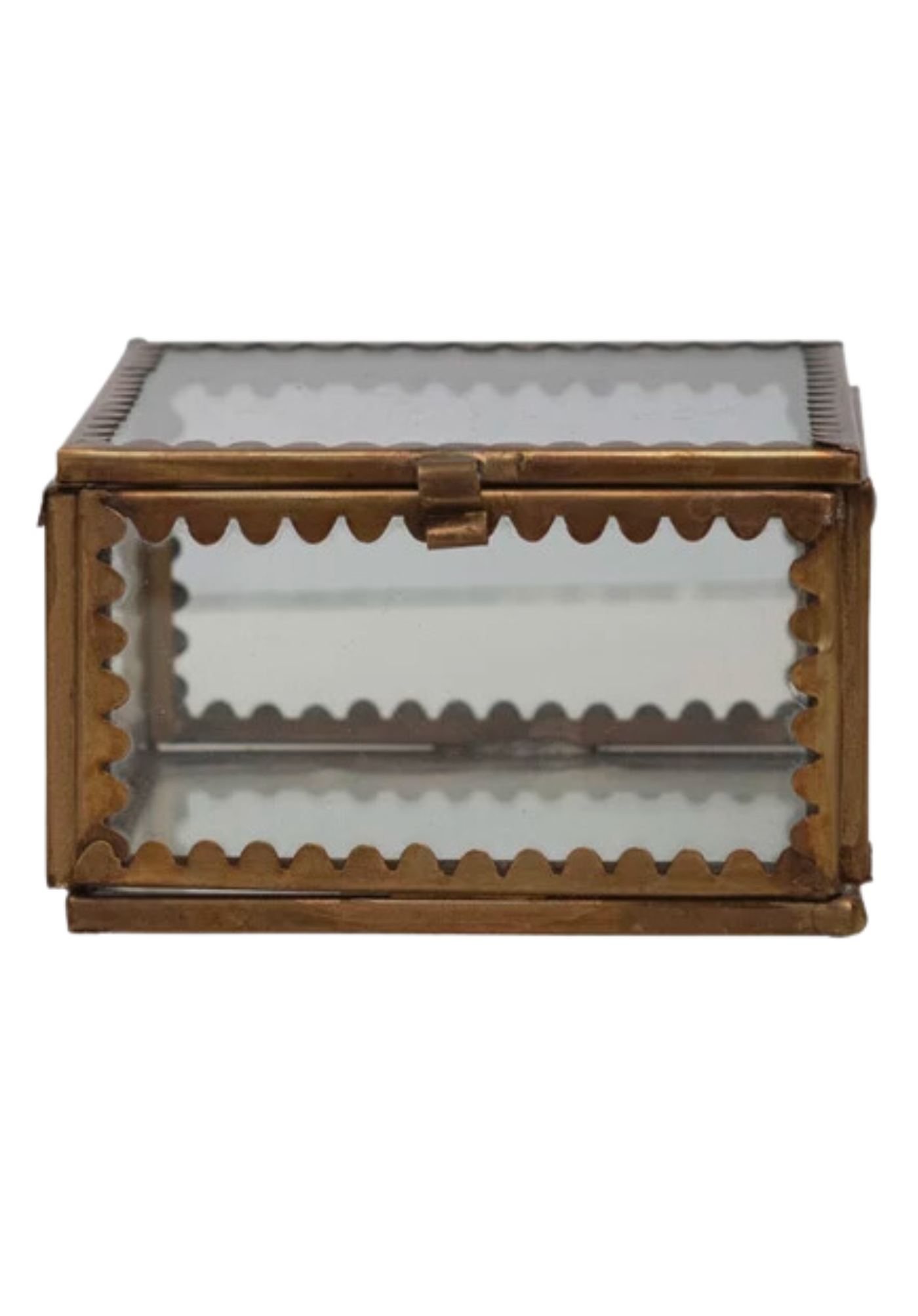 Scalloped Edge Display Box