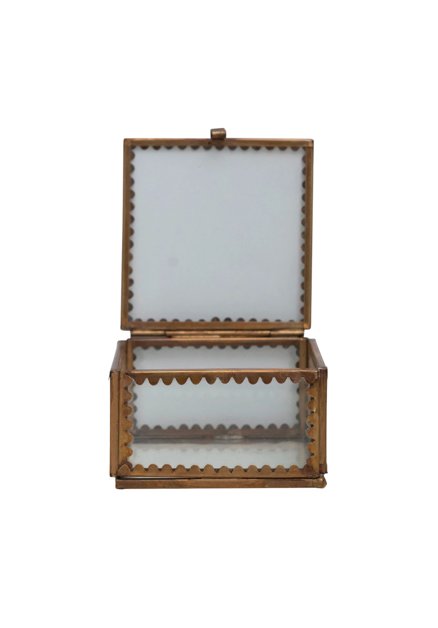 Scalloped Edge Display Box