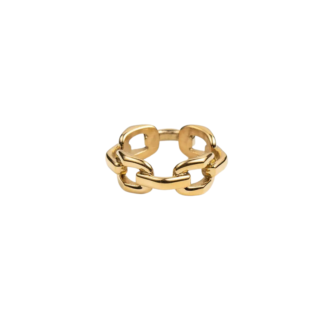 Big Chain Ring