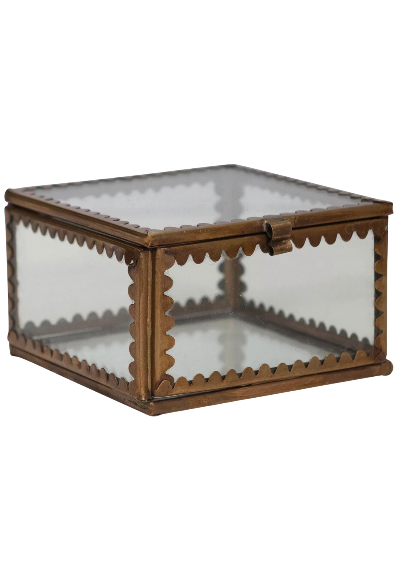 Scalloped Edge Display Box