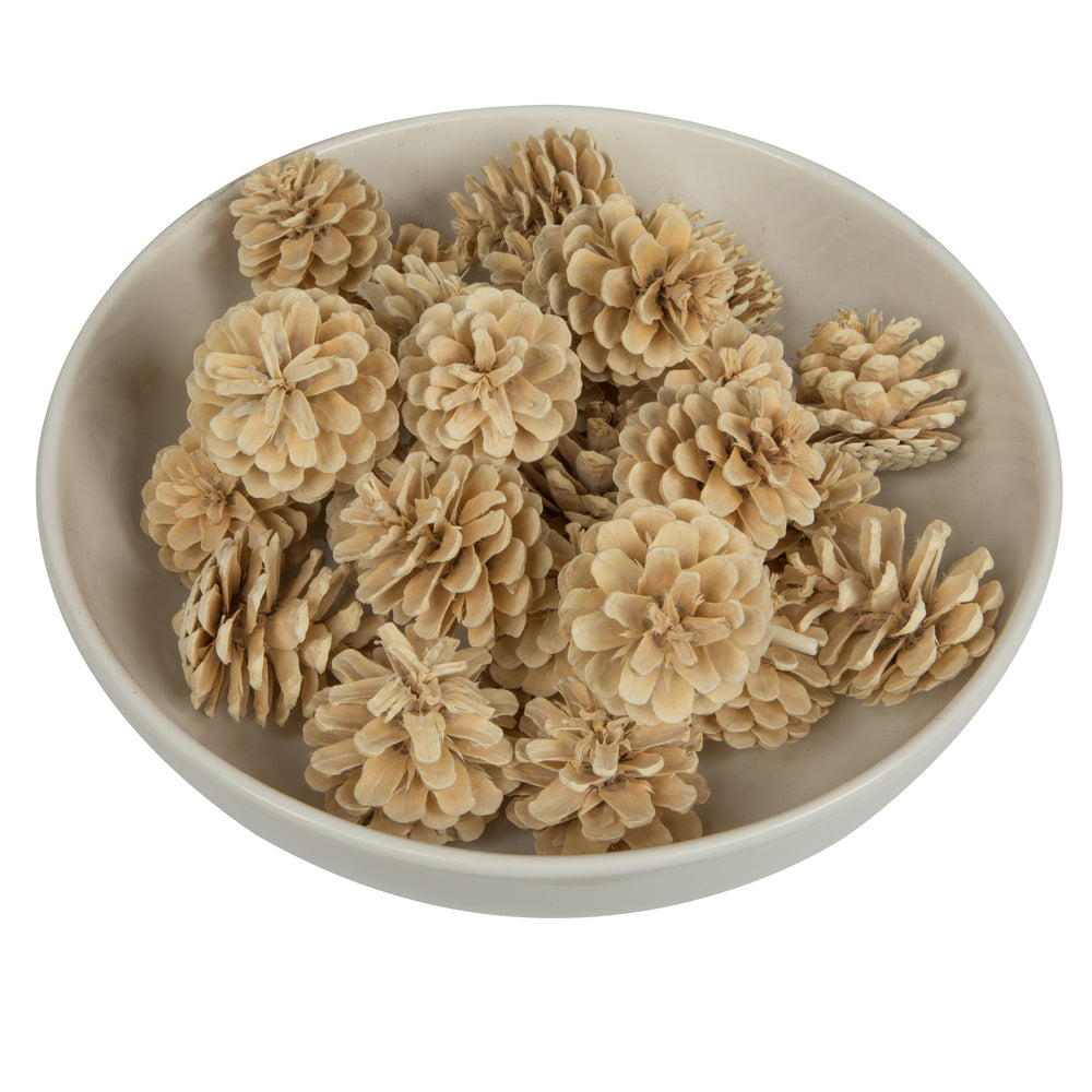 Bleached Pine Cones