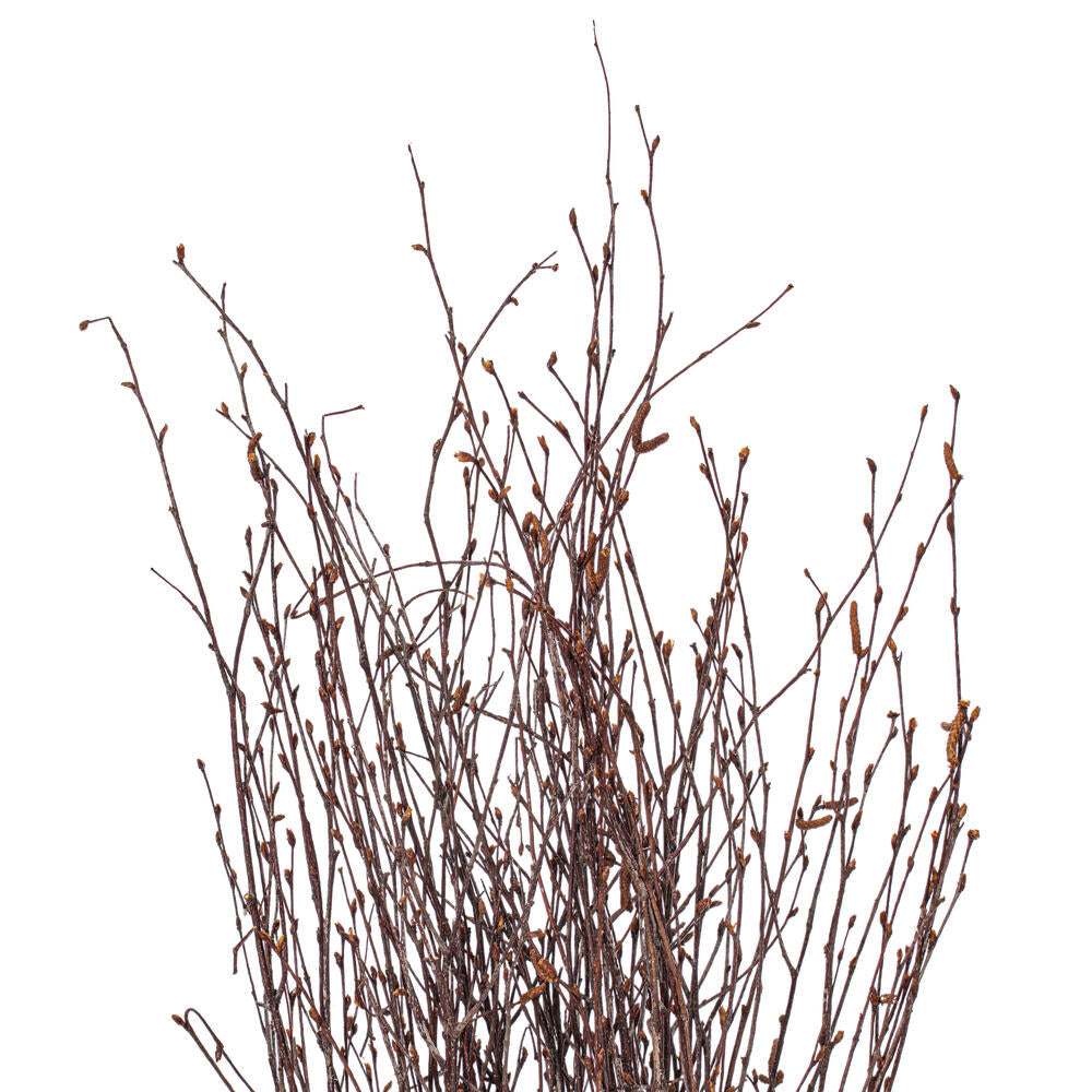 Birch Branch Bundle