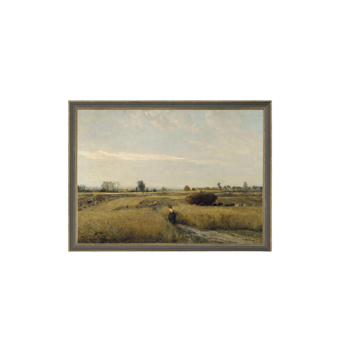 Harvest Landscape