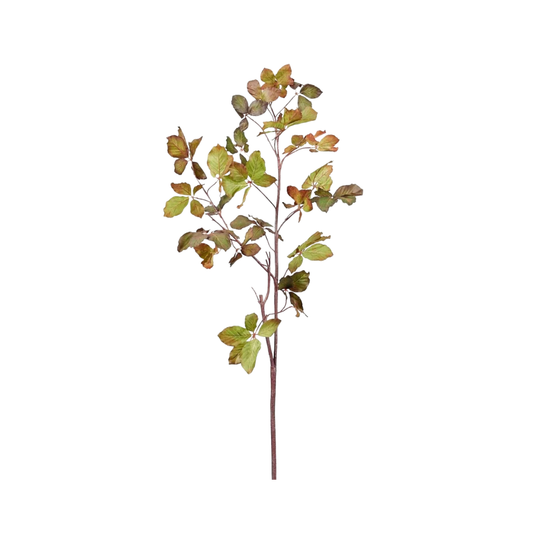 Chestnut Leaf Branch