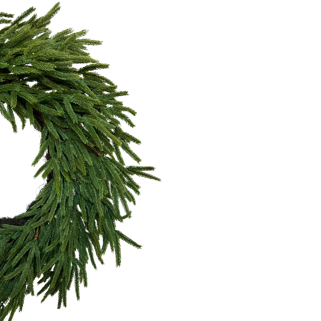 Real Touch Norfolk Pine Wreath - 25"