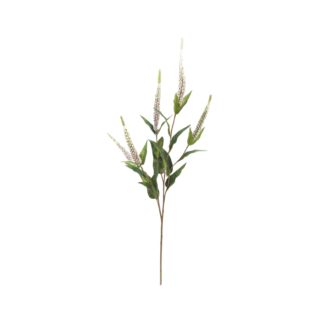 Veronica Blush Stem