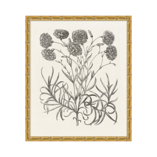 Bessler Study in Neutral 14