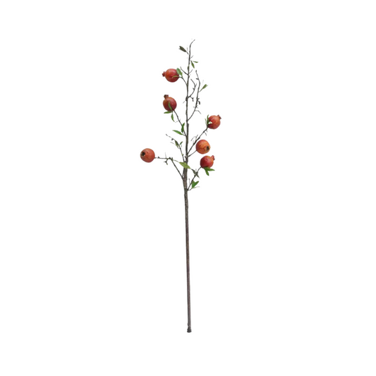 Pomegranate Branch