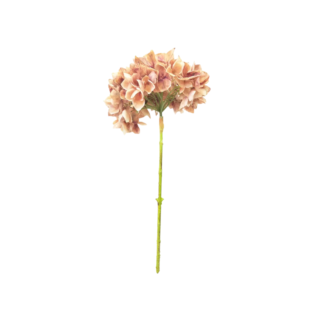 Antique Pink Hydrangea