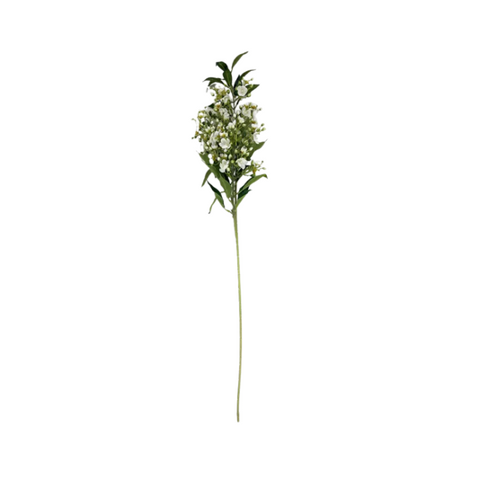 White Tea Tree Branch