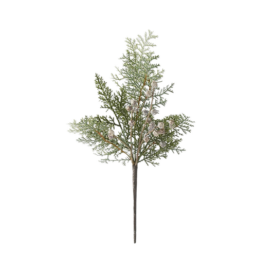 Cedar with Berry Stem