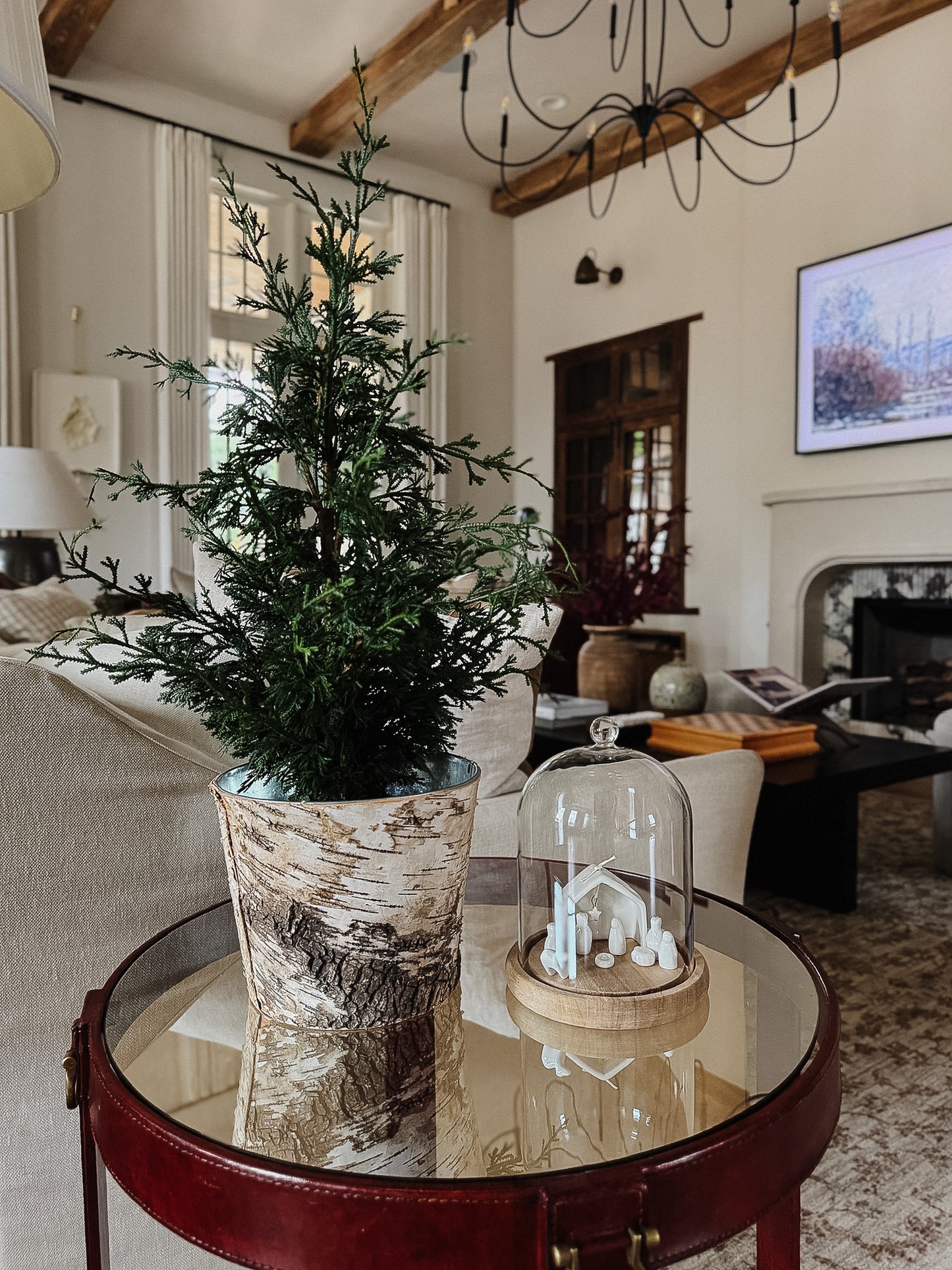 Birch Pot