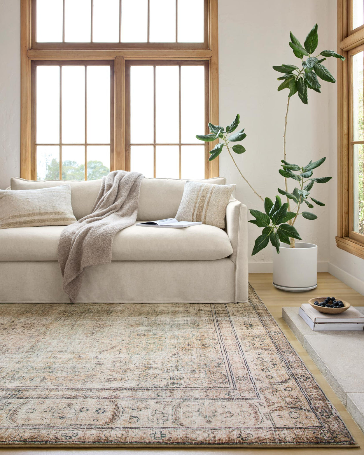 Margot 01 Antique / Sage Rug