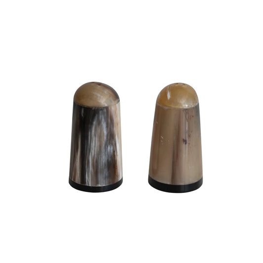 Horn Salt & Pepper Shakers (Set of 2)
