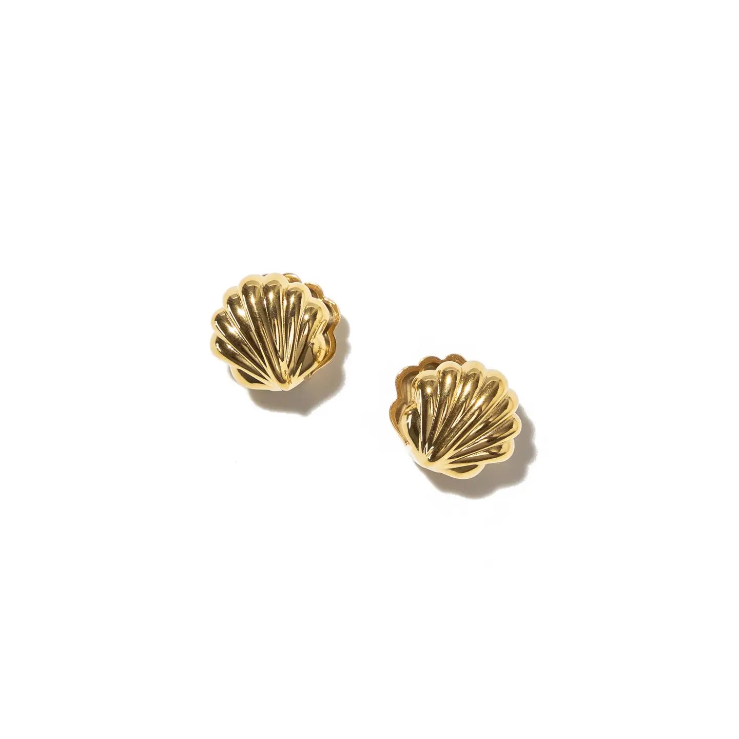 Shell Earrings