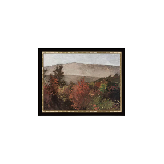 Autumn Tree Tops