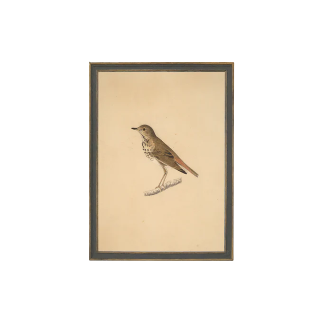 Vintage Bird