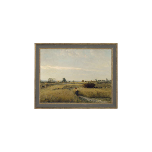 Harvest Landscape