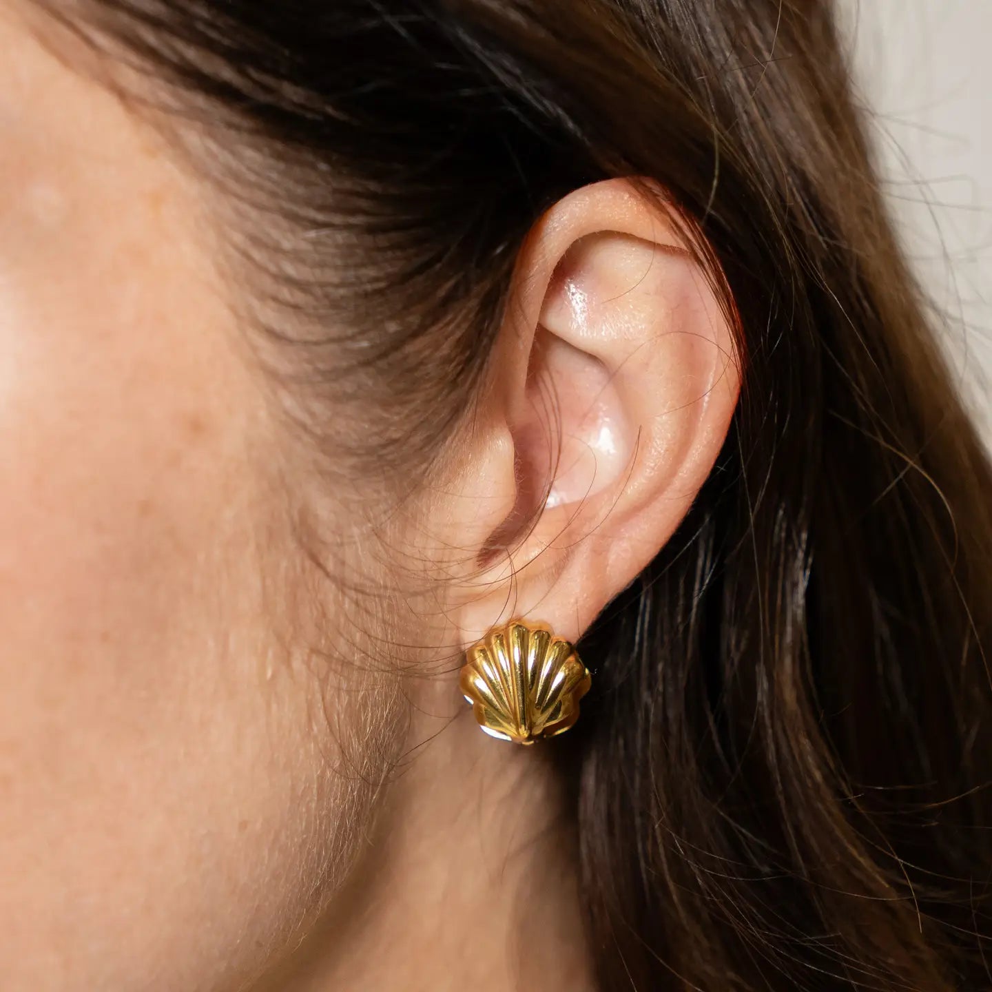 Shell Earrings
