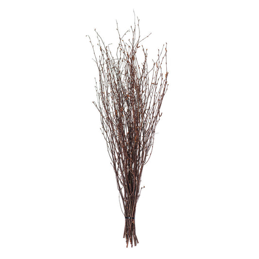 Birch Branch Bundle
