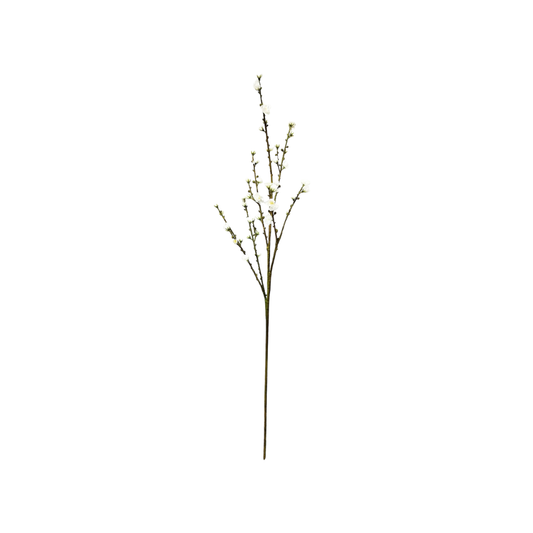White Quince Branch