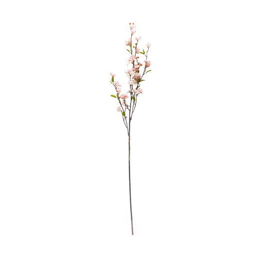 Pink Plum Blossom