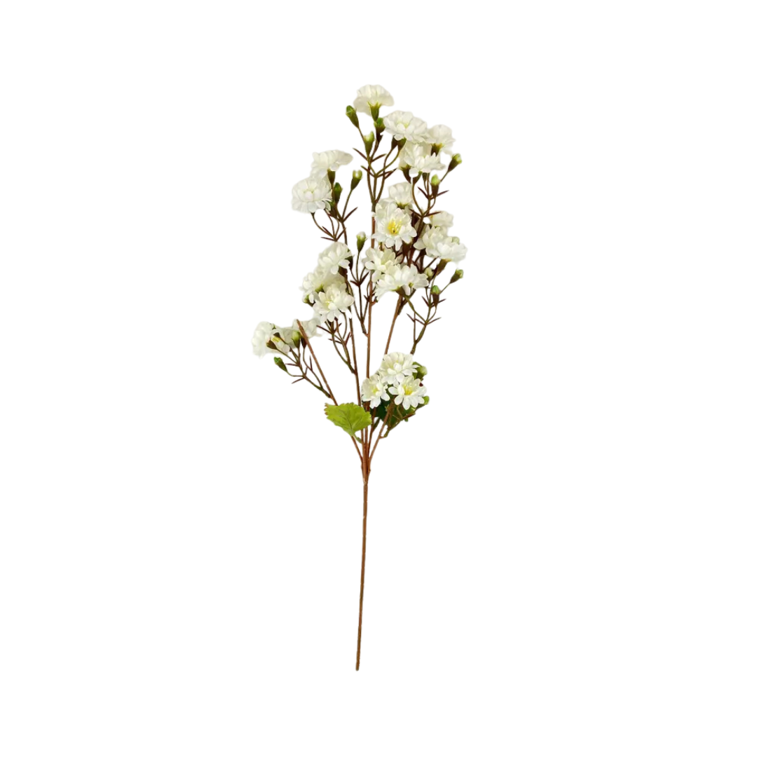 Sweet Blossom Flower