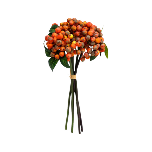 Orange Berry Bundle