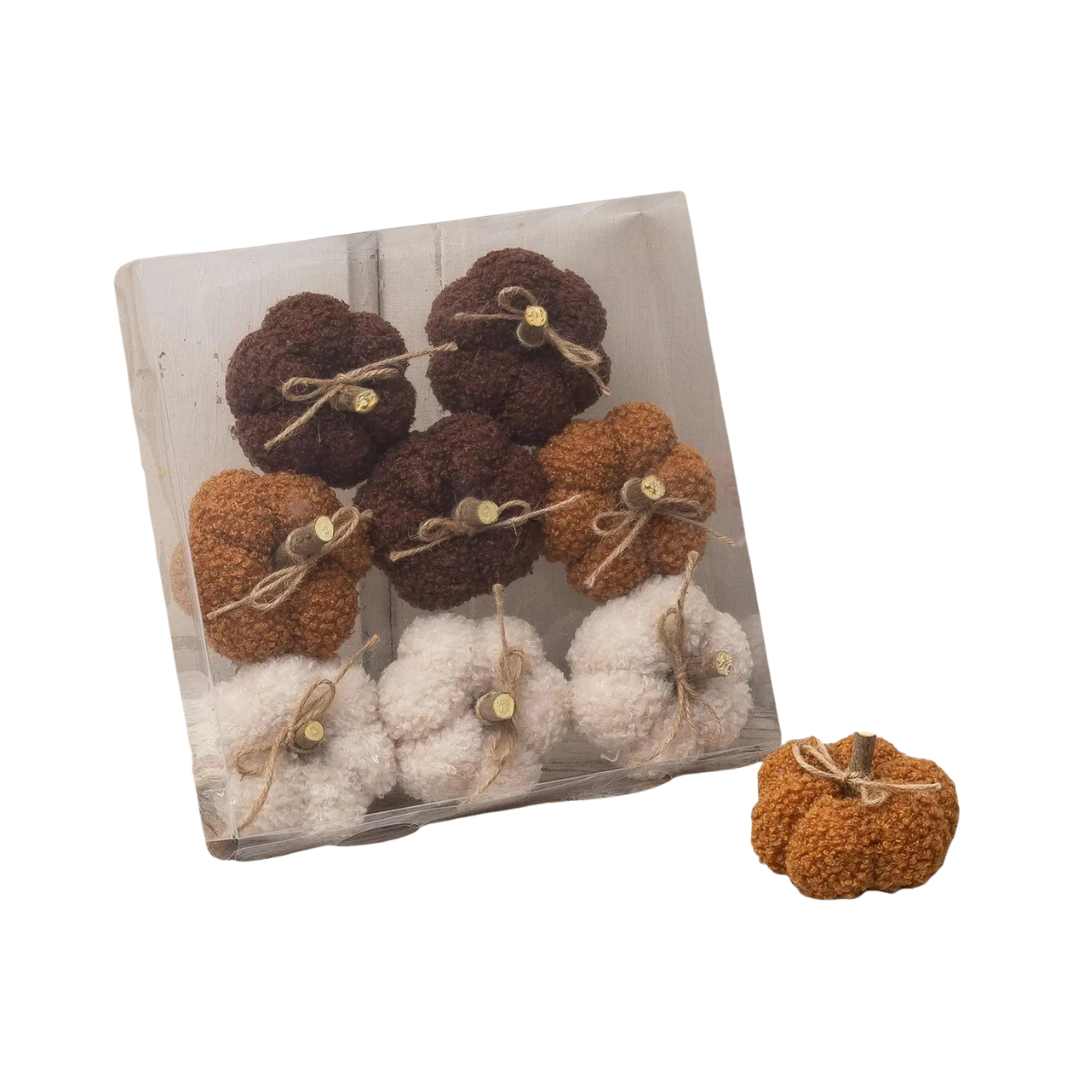 Cozy Mini Pumpkins