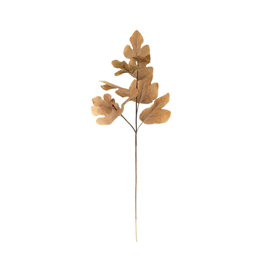 Gold Autumn Fig