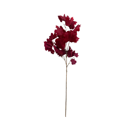 Burgundy Maple Leaf