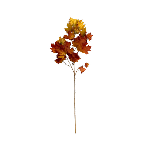 Gold Maple Leaf