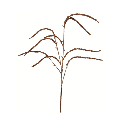 Brown Willow Spray