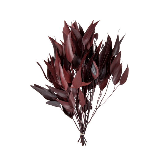 Red Weeping Willow Foliage