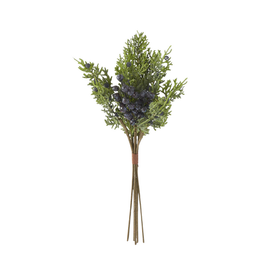 Cedar & Blueberry Branch