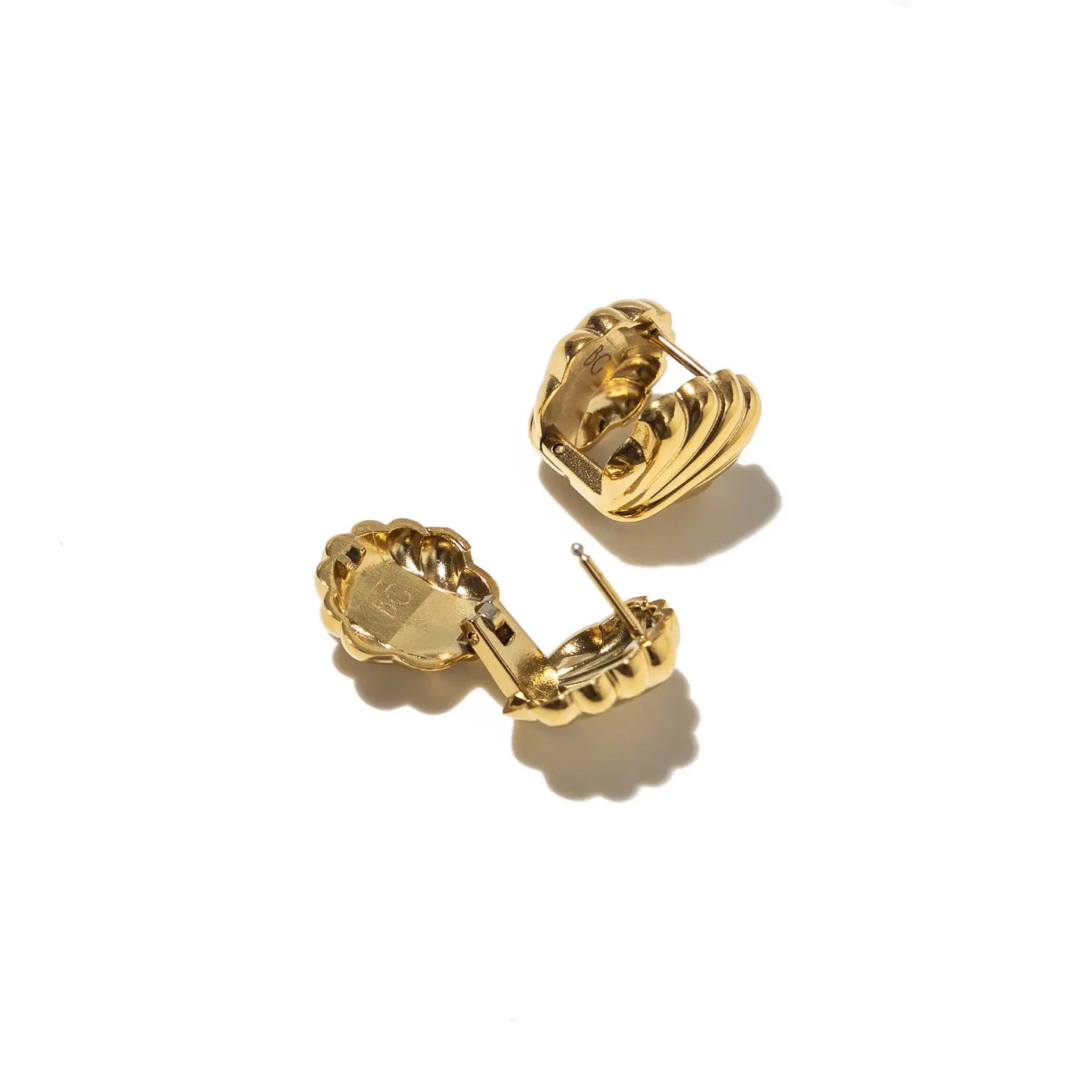 Shell Earrings